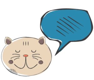 blog kiddymate porady